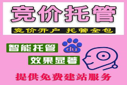SEM托管服务实战案例：解决企业广告投放难题